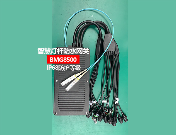 高防護性智慧燈桿網(wǎng)關.jpg